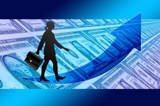 开云体育官方-女子赛事门票收入创新高，商业赞助进一步跟进，女子锦标赛